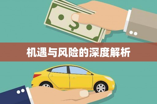 志丹机遇与风险的深度解析