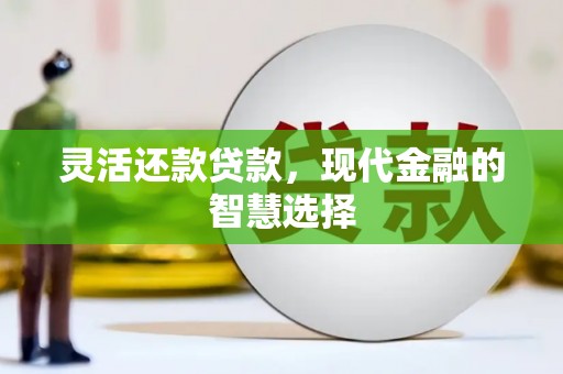 志丹灵活还款贷款，现代金融的智慧选择