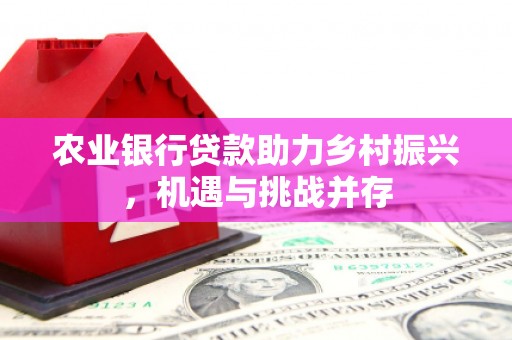 志丹农业银行贷款助力乡村振兴，机遇与挑战并存