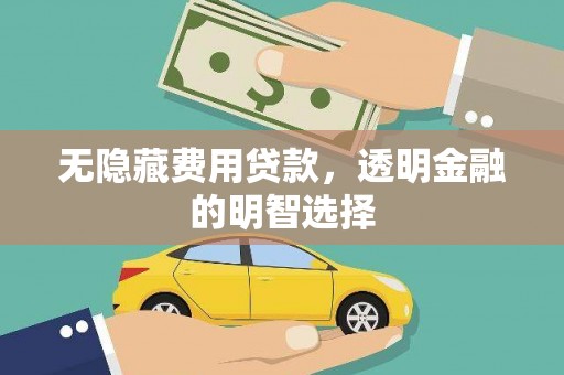 志丹无隐藏费用贷款，透明金融的明智选择