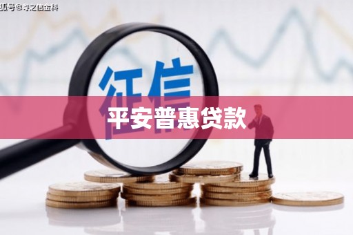 志丹平安普惠贷款