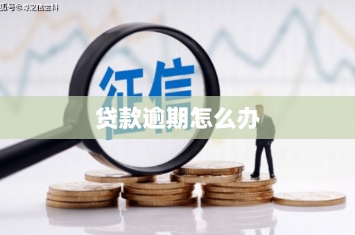 志丹贷款逾期怎么办