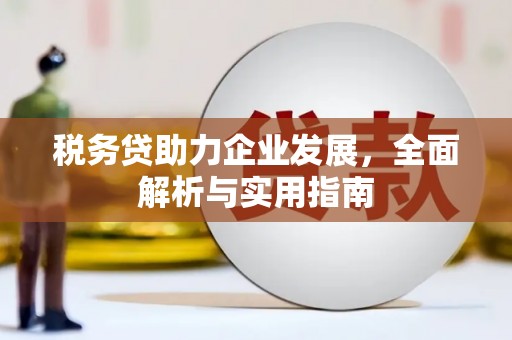志丹税务贷助力企业发展，全面解析与实用指南