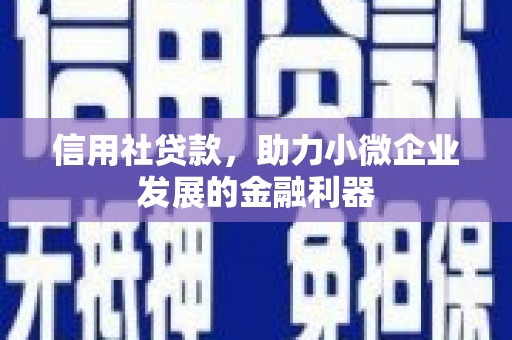 志丹信用社贷款，助力小微企业发展的金融利器