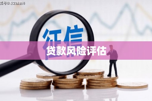 志丹贷款风险评估