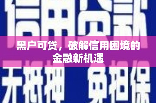 志丹黑户可贷，破解信用困境的金融新机遇