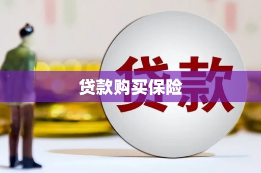 志丹贷款购买保险