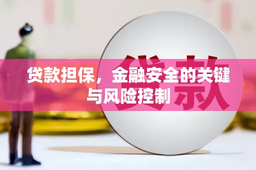 志丹贷款担保，金融安全的关键与风险控制