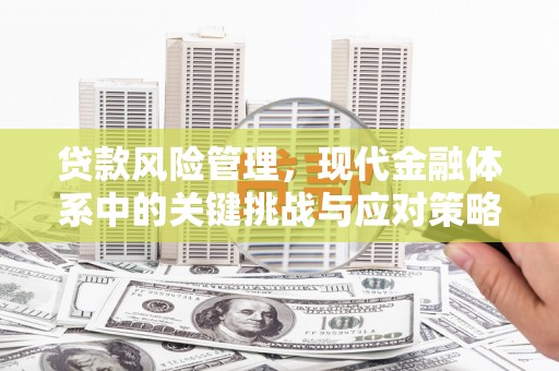 志丹贷款风险管理，现代金融体系中的关键挑战与应对策略