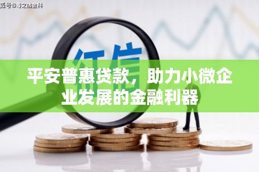 志丹平安普惠贷款，助力小微企业发展的金融利器