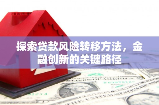 志丹探索贷款风险转移方法，金融创新的关键路径