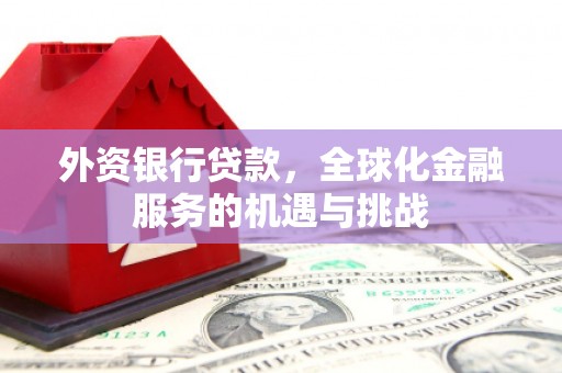志丹外资银行贷款，全球化金融服务的机遇与挑战