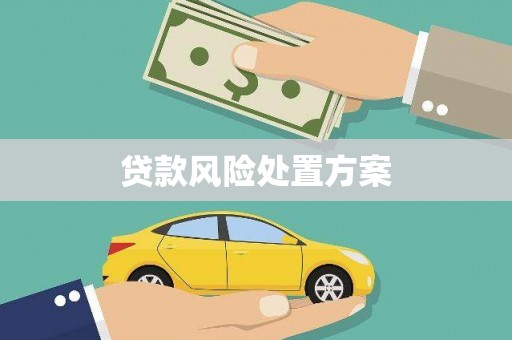 志丹贷款风险处置方案