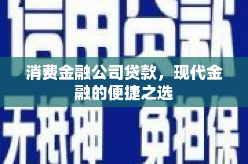 志丹消费金融公司贷款，现代金融的便捷之选