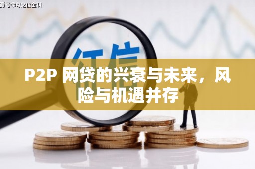 志丹P2P 网贷的兴衰与未来，风险与机遇并存