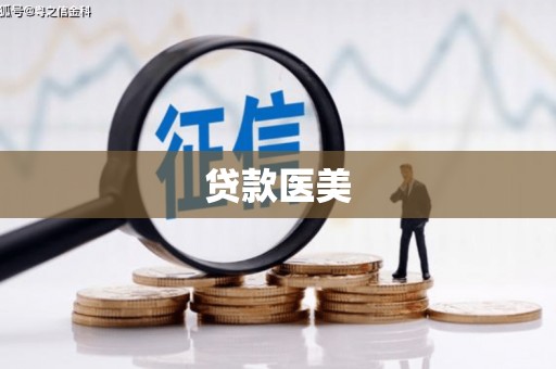 志丹贷款医美