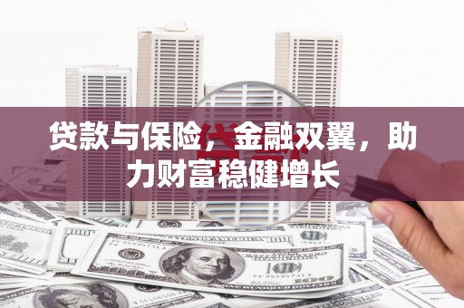 志丹贷款与保险，金融双翼，助力财富稳健增长
