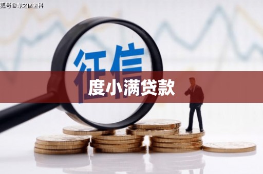 志丹度小满贷款