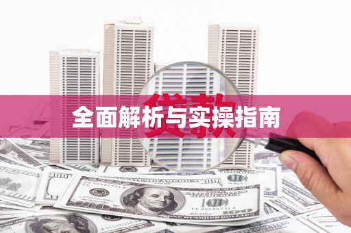 志丹全面解析与实操指南