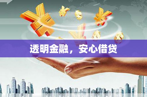 志丹透明金融，安心借贷