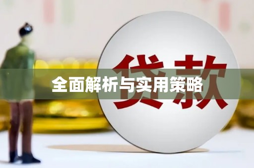 志丹全面解析与实用策略