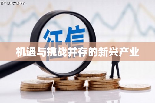 志丹机遇与挑战并存的新兴产业
