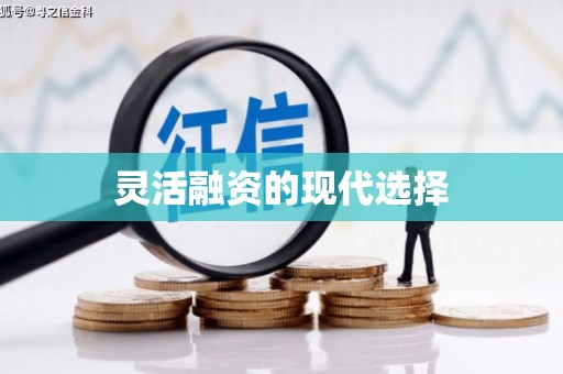 志丹灵活融资的现代选择