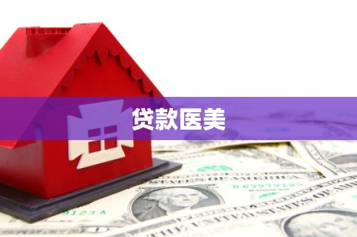 志丹贷款医美