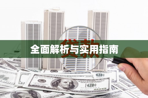 志丹全面解析与实用指南