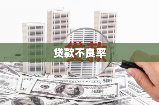志丹贷款不良率