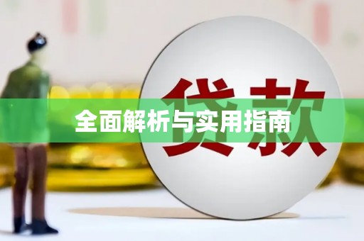 志丹全面解析与实用指南