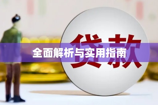 志丹全面解析与实用指南