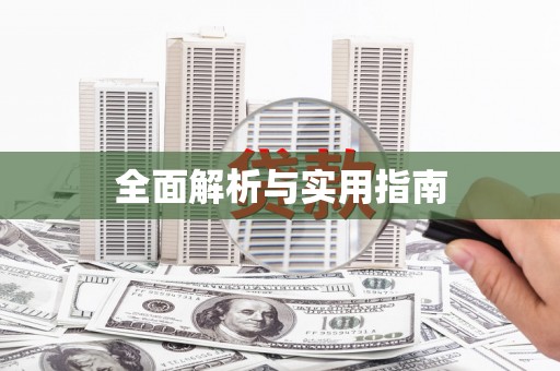 志丹全面解析与实用指南