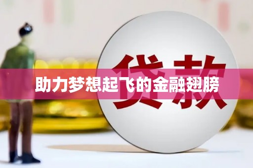 志丹助力梦想起飞的金融翅膀