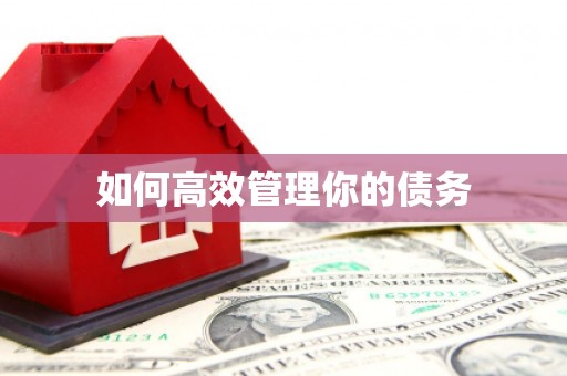 志丹如何高效管理你的债务