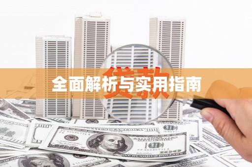 志丹全面解析与实用指南