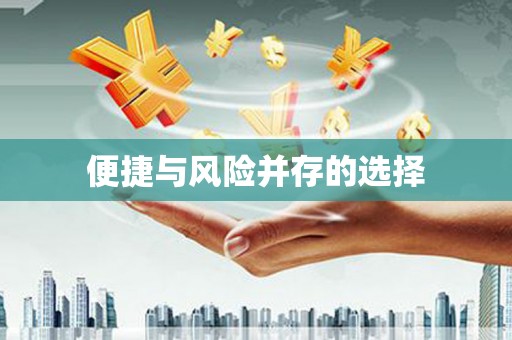 志丹便捷与风险并存的选择