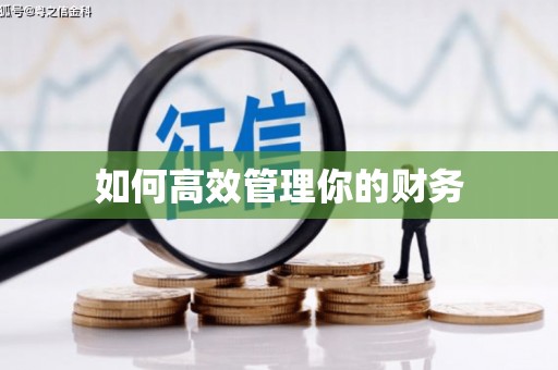 志丹如何高效管理你的财务