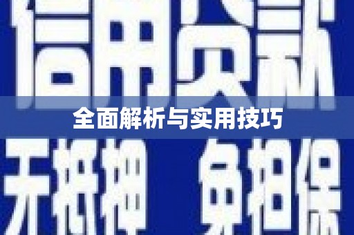 志丹全面解析与实用技巧