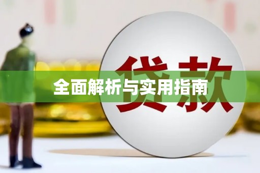 志丹全面解析与实用指南