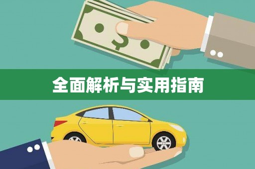 志丹全面解析与实用指南