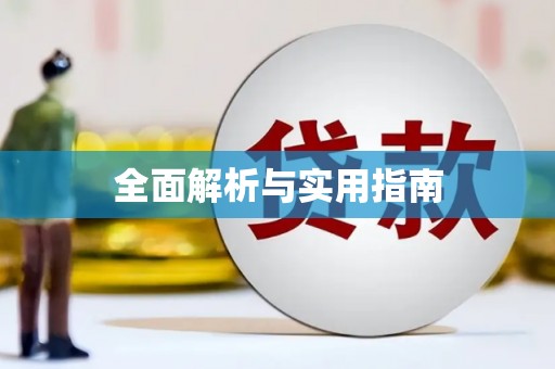 志丹全面解析与实用指南