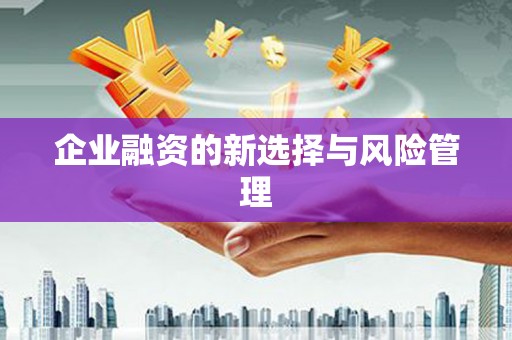志丹企业融资的新选择与风险管理