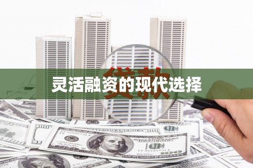 志丹灵活融资的现代选择