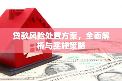 志丹贷款风险处置方案，全面解析与实施策略