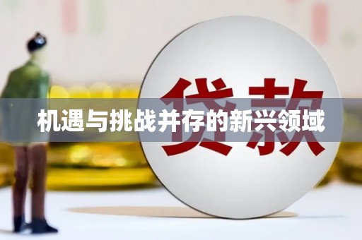 志丹机遇与挑战并存的新兴领域
