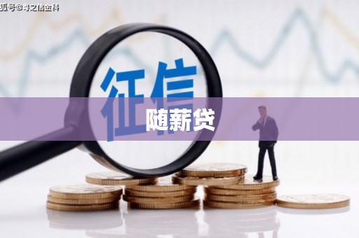 志丹随薪贷