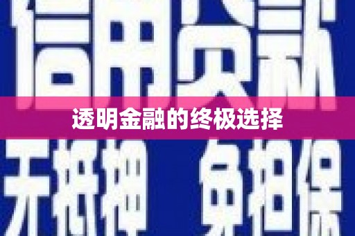 志丹透明金融的终极选择