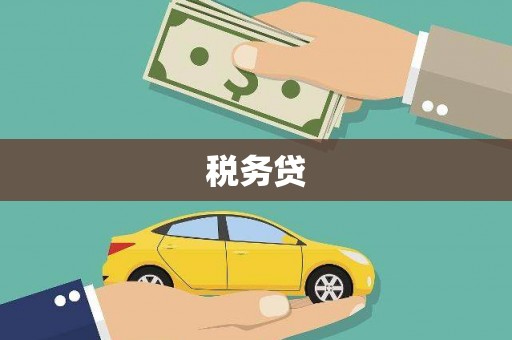 志丹税务贷