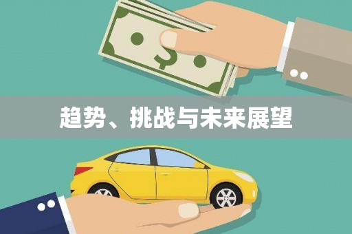 志丹趋势、挑战与未来展望